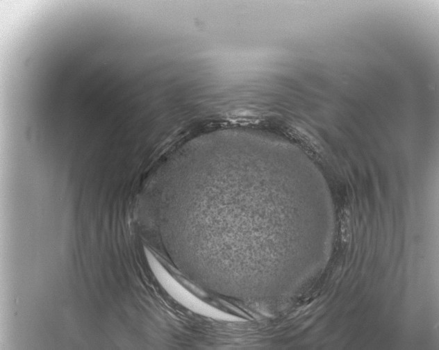 X0000068261298200605051738