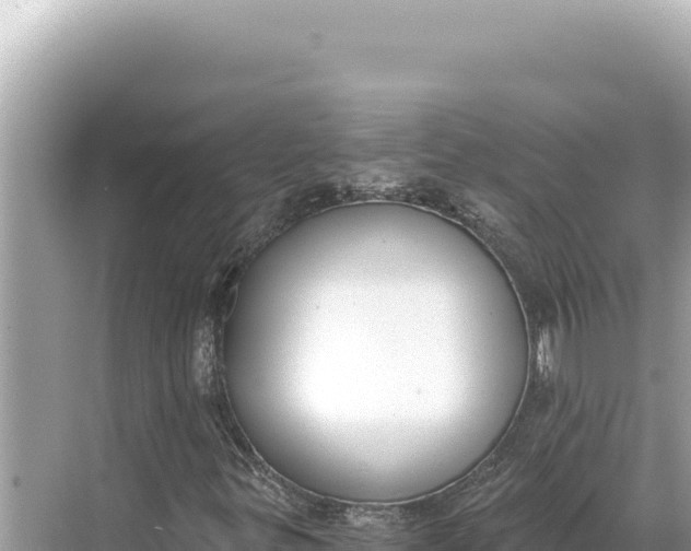 X0000068261299200605051738