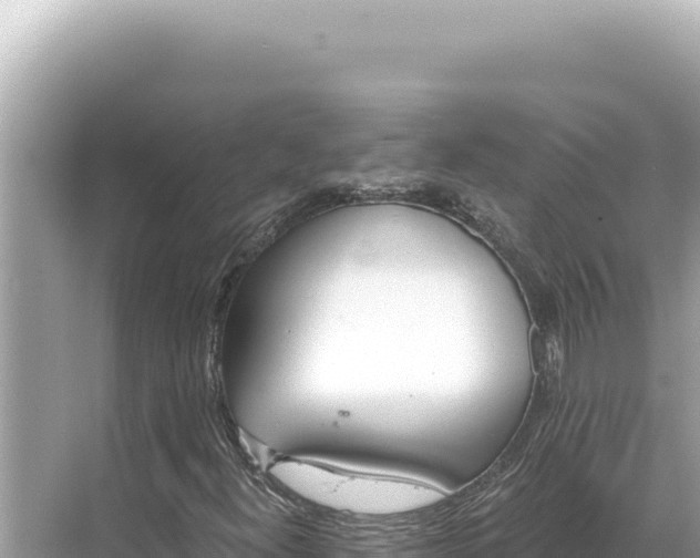 X0000068261300200605051739