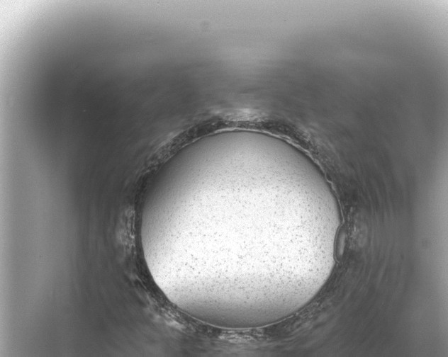 X0000068261301200605051739