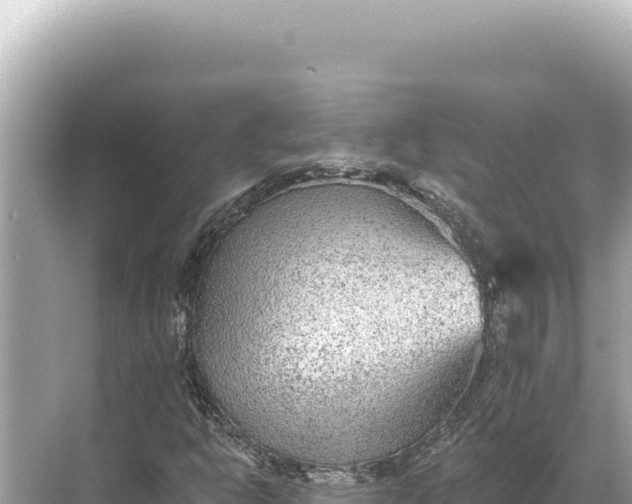 X0000068261302200605051739