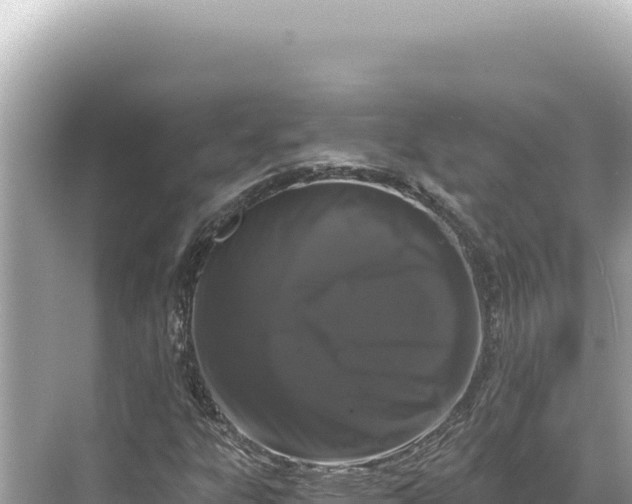 X0000068261303200605051739