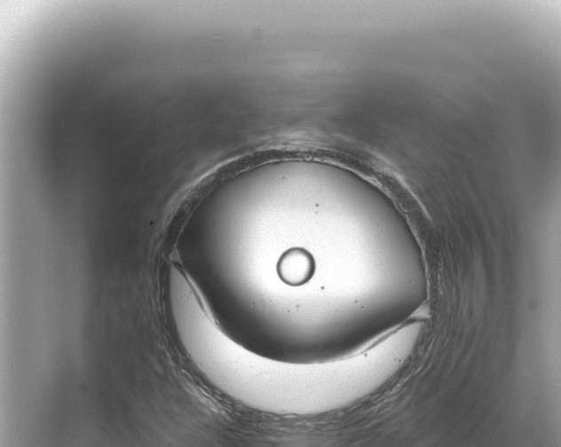 X0000068261304200605051739