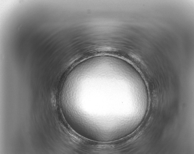 X0000068261305200605051739