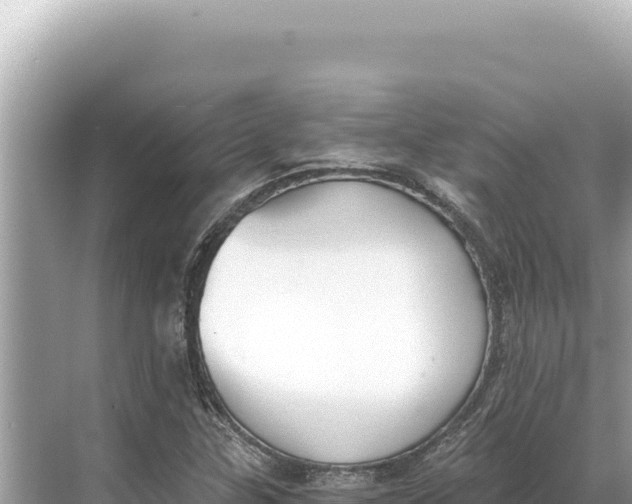 X0000068261307200605051739