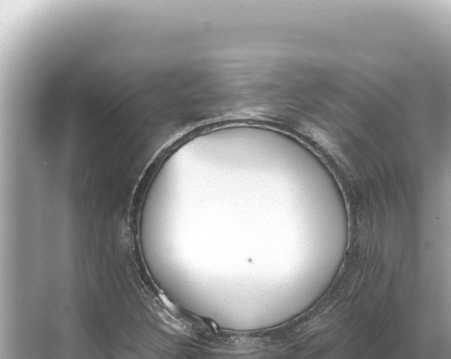 X0000068261308200605051739