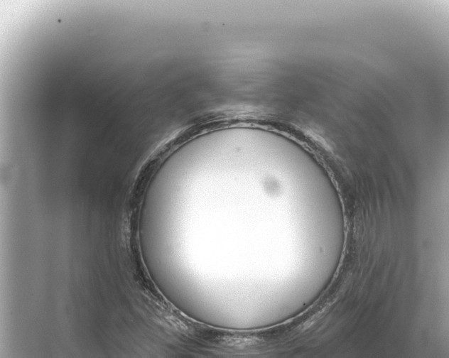 X0000068261309200605051739