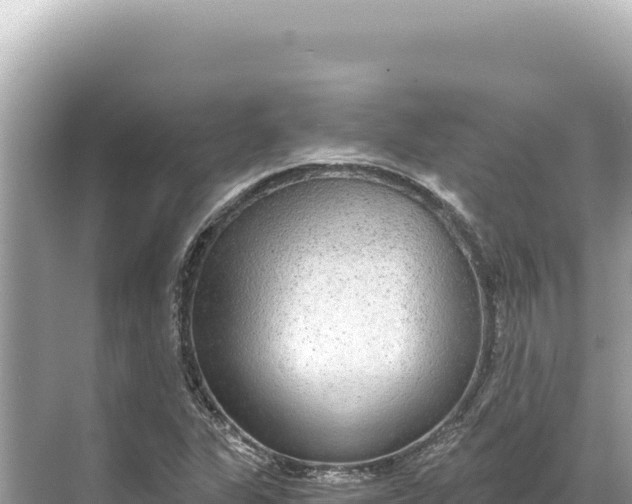 X0000068261311200605051739