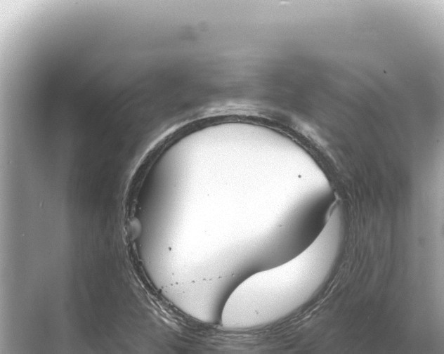 X0000068261312200605051739