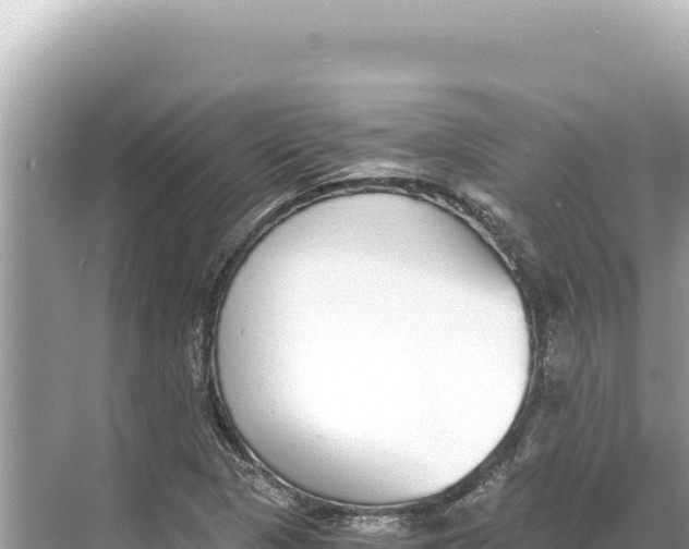 X0000068261313200605051739