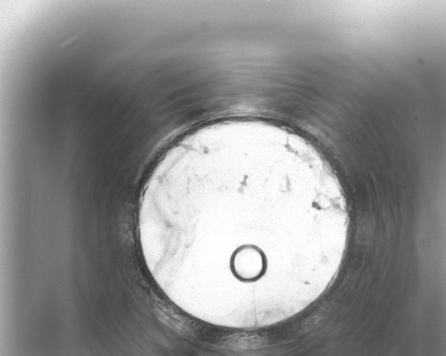 X0000068261314200605051739