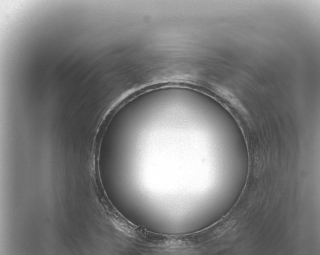 X0000068261316200605051739