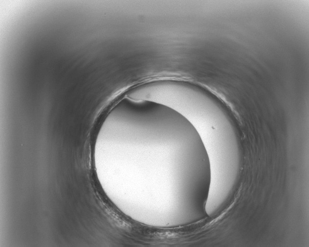 X0000068261317200605051739