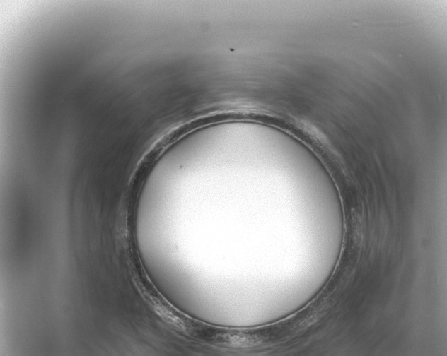 X0000068261318200605051739