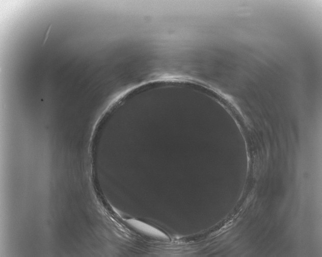 X0000068261319200605051739