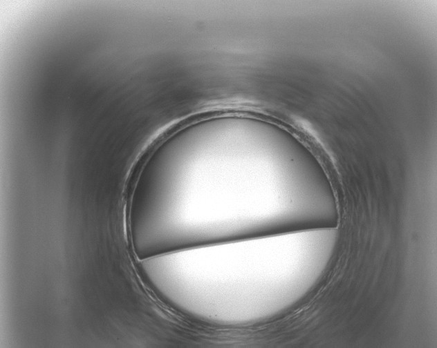 X0000068261320200605051739