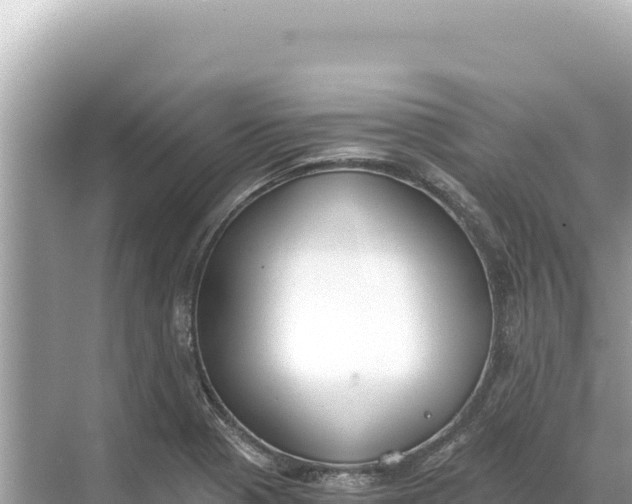 X0000068261321200605051739