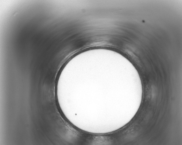 X0000068261322200605051739