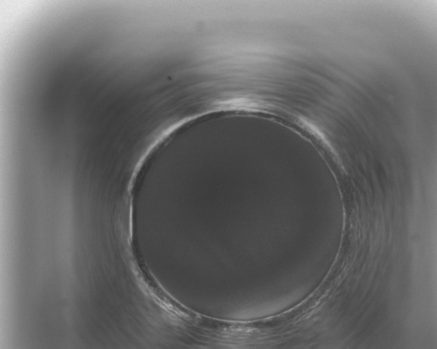 X0000068261323200605051739