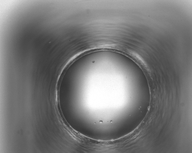 X0000068261324200605051739