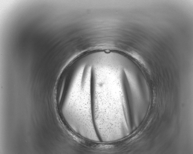 X0000068261325200605051739