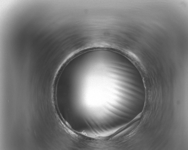 X0000068261326200605051739