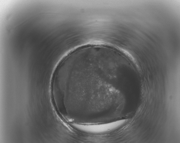 X0000068261327200605051739