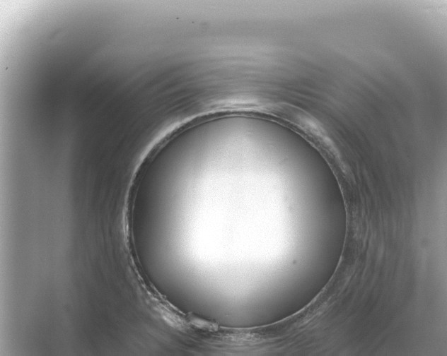 X0000068261328200605051739