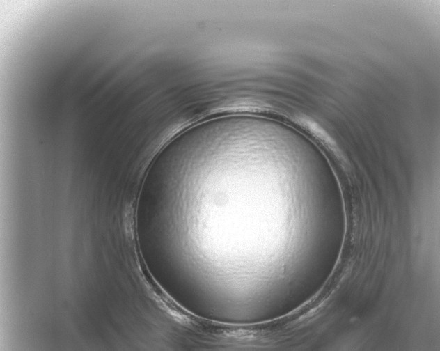 X0000068261329200605051739