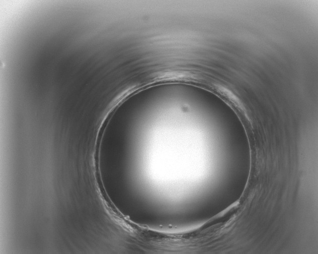 X0000068261330200605051739