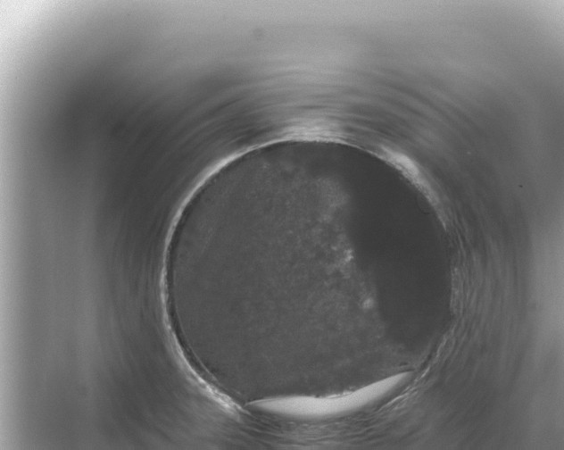 X0000068261331200605051739