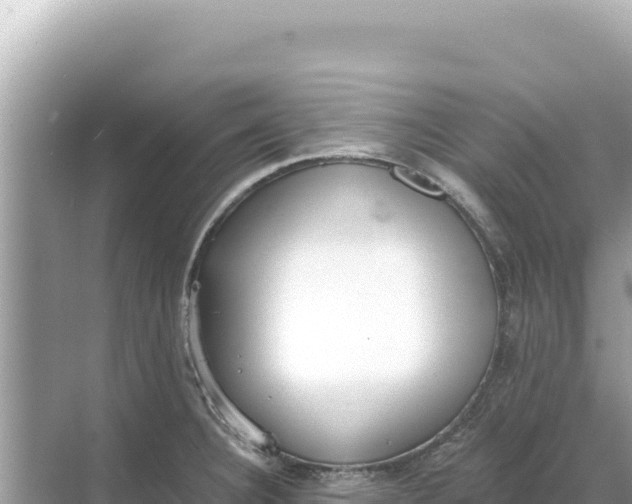 X0000068261332200605051739