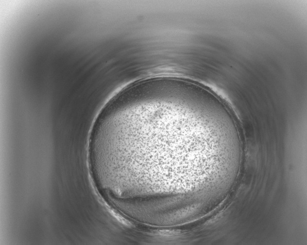 X0000068261333200605051739