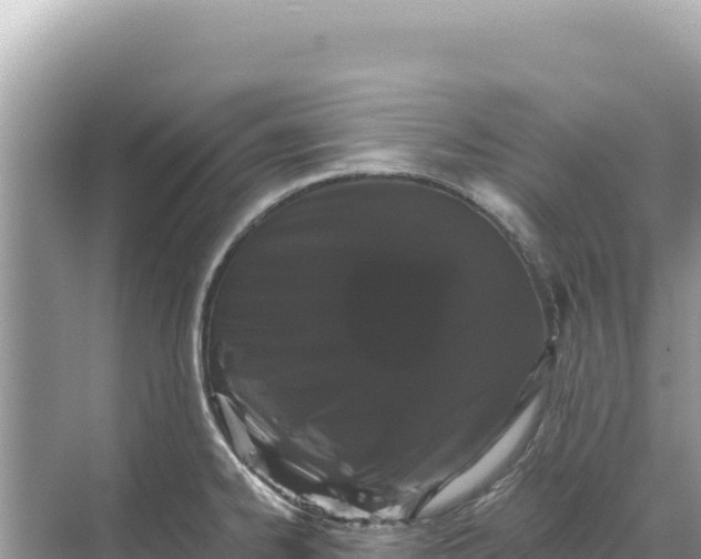 X0000068261334200605051739