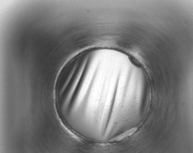 X0000068261335200605051739