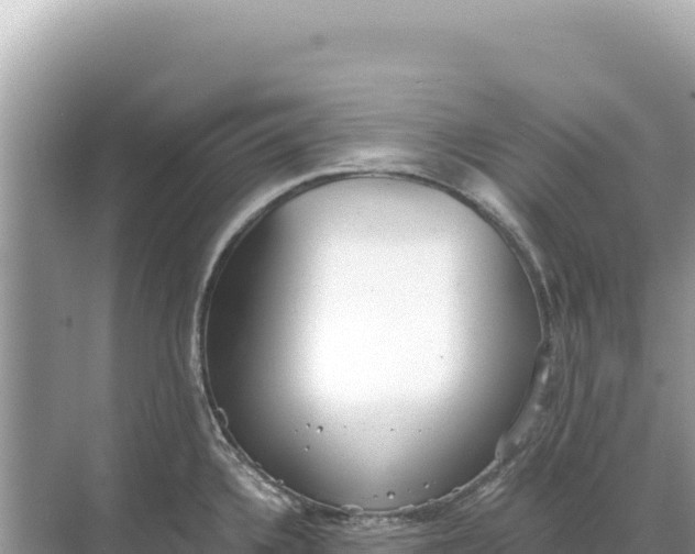 X0000068261336200605051739