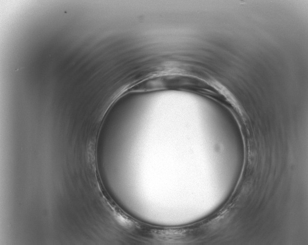 X0000068261337200605051739