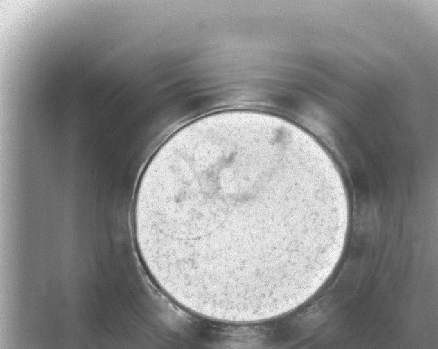 X0000068261338200605051739