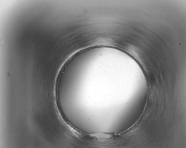 X0000068261339200605051739