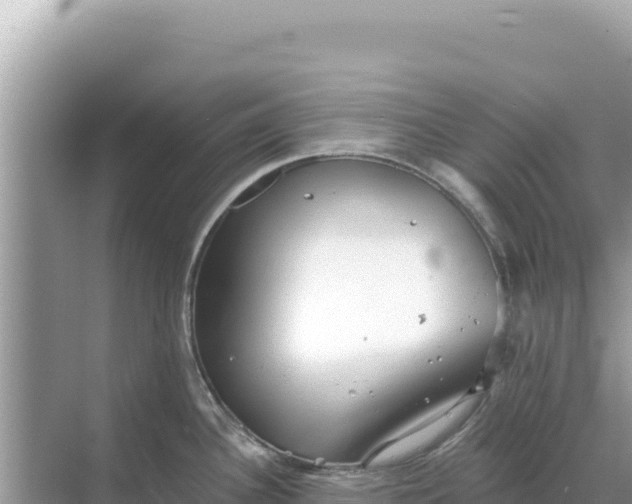 X0000068261340200605051739