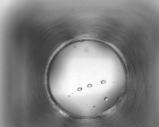 X0000068261341200605051739