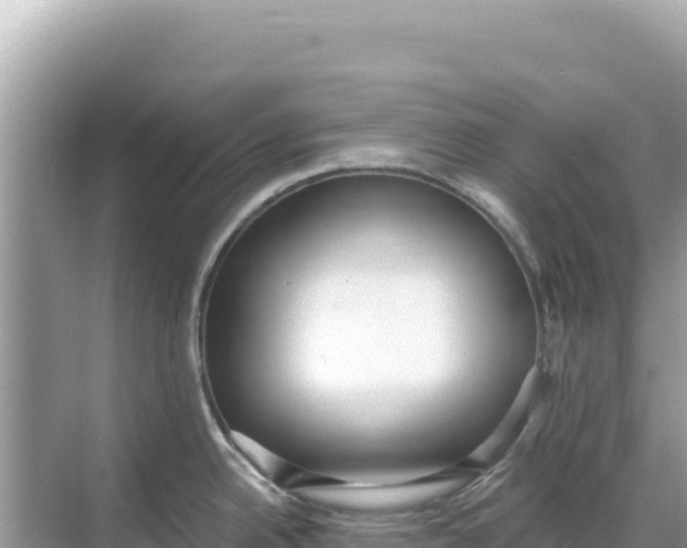 X0000068261342200605051739