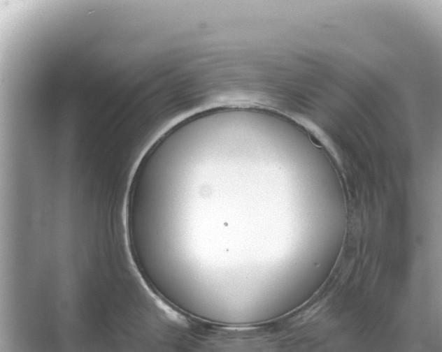 X0000068261343200605051739