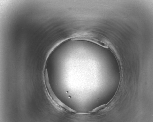 X0000068261344200605051739