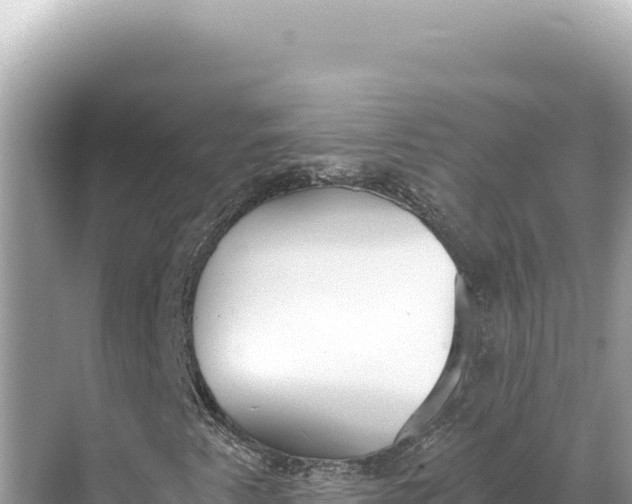 X0000068261345200605051738