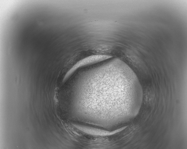 X0000068261346200605051738