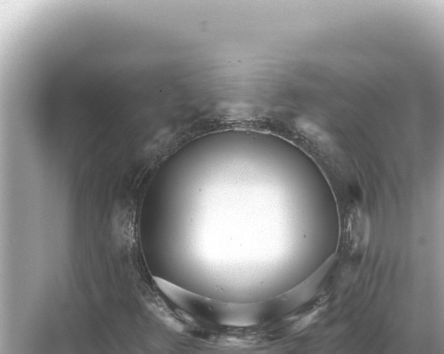 X0000068261348200605051738