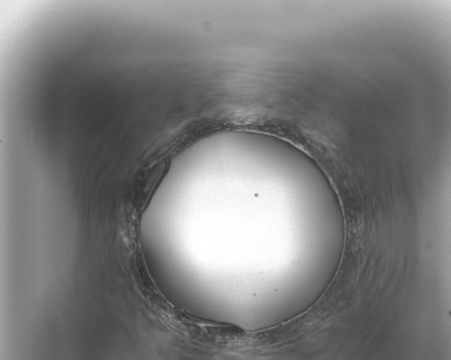 X0000068261349200605051738