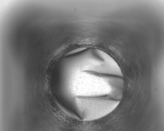 X0000068261350200605051738