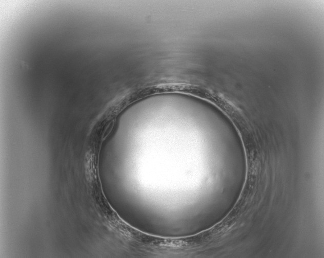 X0000068261351200605051738